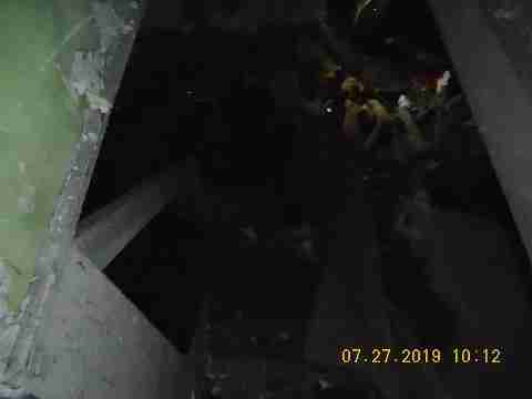 16737 Dolphin (27)_m.jpg